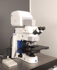 The LSM 700 Microscope
